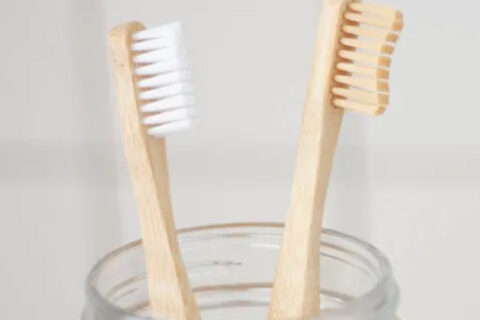 A pair of brush