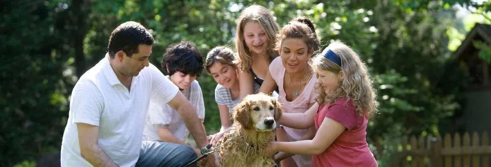 A family playing with a dog