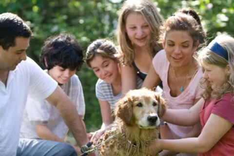 A family playing with a dog